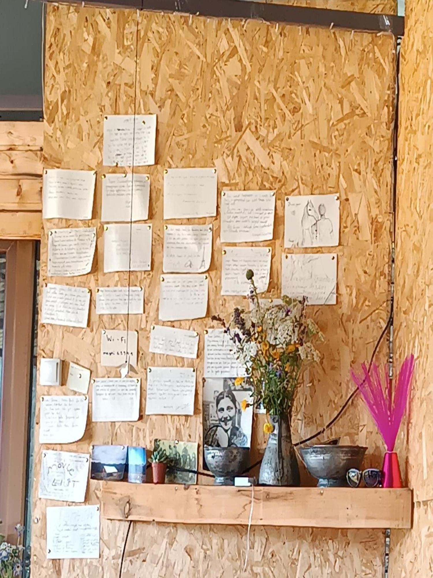 Nadiani Hostel Omalo Zewnętrze zdjęcie